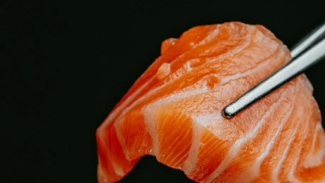 salmon