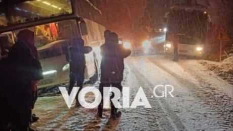 χιονια ναουσα