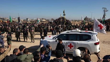 Hamas_omiroi