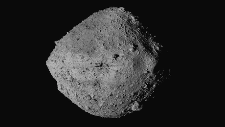 asteroidis