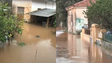 κεφαλονια