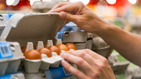 eggs
