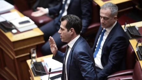 Ο Θάνος Πλεύρης
