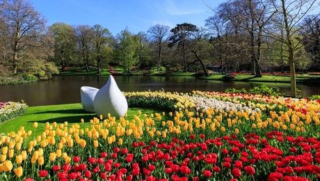 Keukenhof-Ollandia