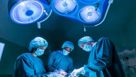 Στιγμιότυπο από μεταμόσχευση οργάνων