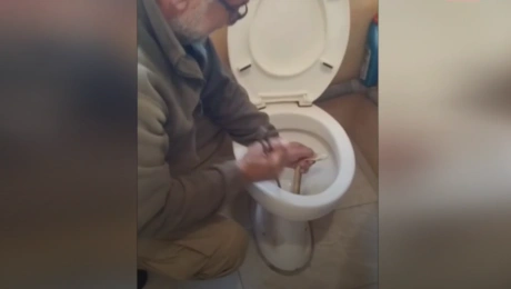 Φίδι σε σπίτι στην Καστοριά