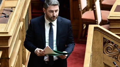 Νίκος Ανδρουλάκης 