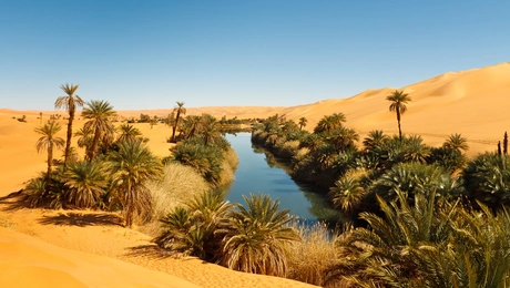 sahara