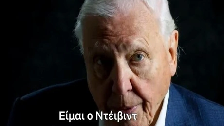 David Attenborough Netflix