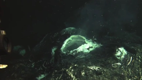 Axial Seamount 