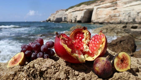 Τα ελληνικά superfood για μια ισορροπημένη διατροφή