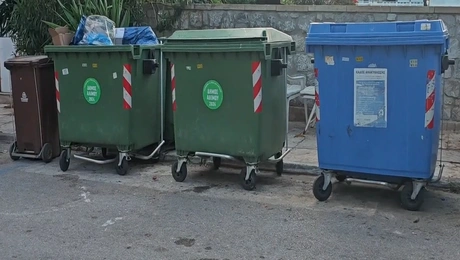 βρέφος Άλιμος
