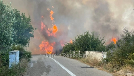 Φωτιά Φθιώτιδα