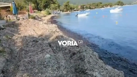 παραλία Χαλκιδική