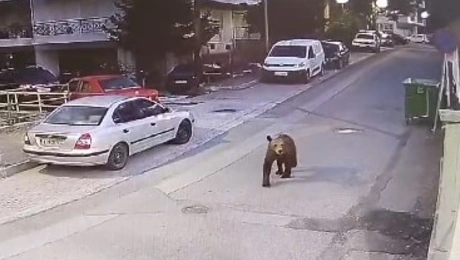 Γρεβενά
