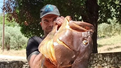 Ο ψαράς στον Βόλο