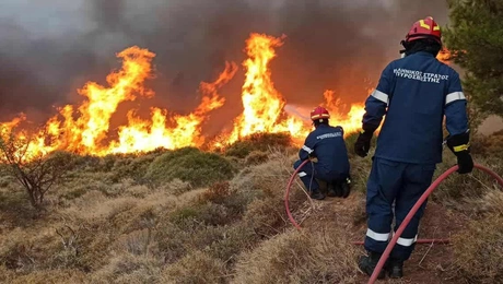 Ενοπλες Δυνάμεις Πυροσβέστης
