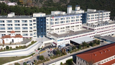 Λαμία: Στη ΜΕΘ 16χρονος έπειτα από τσίμπημα οχιάς