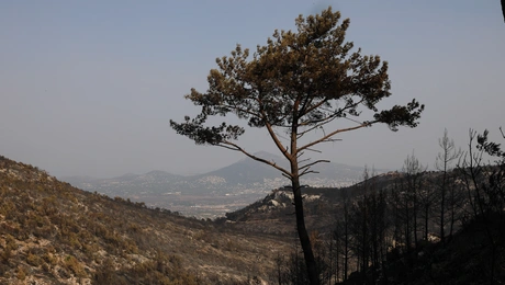 Πάρνηθα