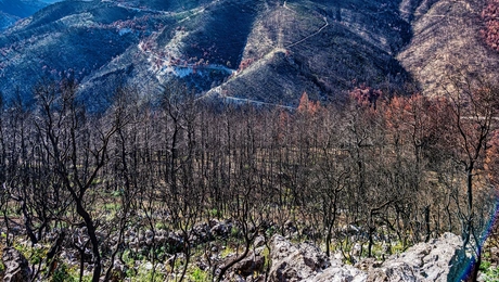 Πάρνηθα