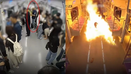 Koera fotia metro