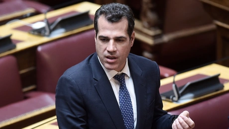 Θάνος Πλεύρης