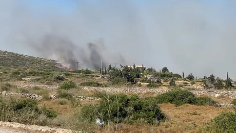 Fotia Kithira
