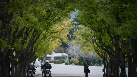 Ζάππειο αστυνομία