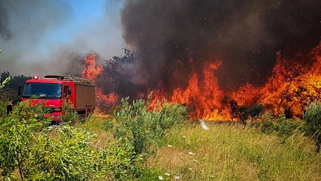 Φωτιά στο Αλιβέρι, στην Εύβοια