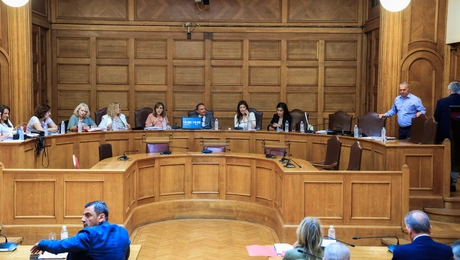 προανακριτική επιτροπή