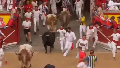 ταυροδρομίες