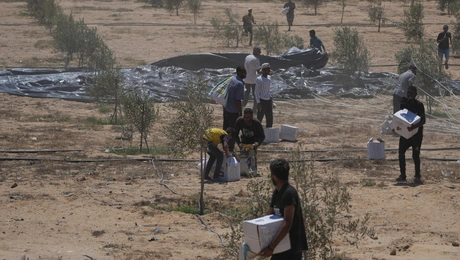 Gaza