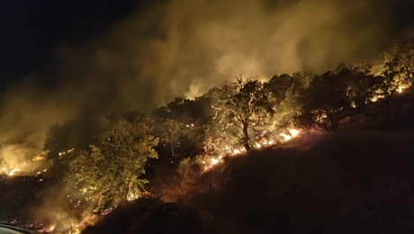 Fotia Lesvos