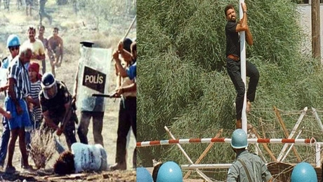 combined_image