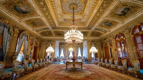 palati buckingham