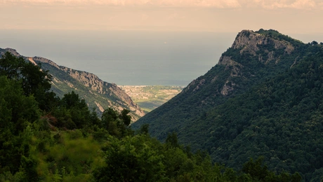 κατερίνη