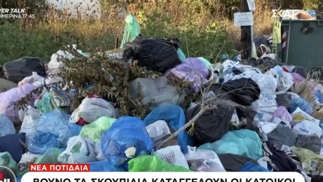 σκουπιδια