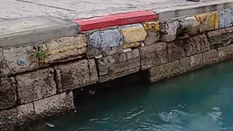 Halkida