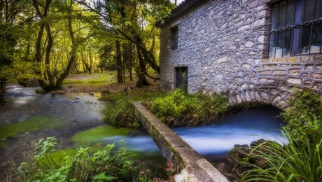 Το πλατανόδασος του Πλανητέρου (πηγή: Shutterstock)