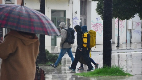 Vrohi