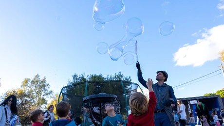 bubbles