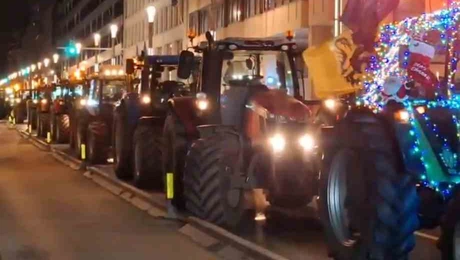 agrotes_brussels
