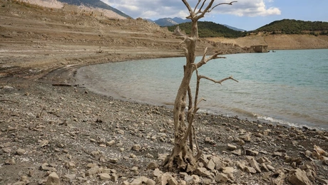 Μόρνος