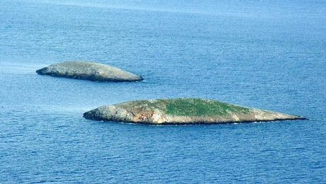 Βραχονησίδες Ιμια
