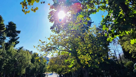 καιρός