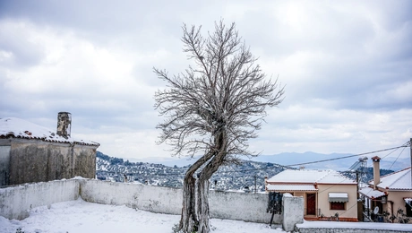 Παγετός