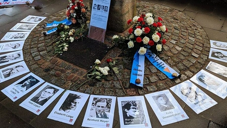 Weiße_Rose