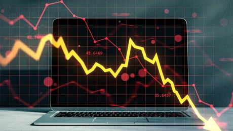 INVESTORS