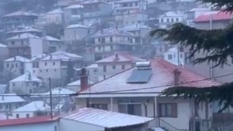 Χιόνια στην ορεινή Ελασσόνα