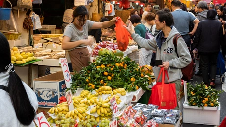 Grocery Tourism 